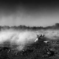 Dělníci sklízejí brambory v Córdobě. Pěstování brambor je v Argentině velmi intenzivní; podle oficiálních zpráv se při něm používá až 40 různých agrochemikálií. (Córdoba, Argentina, 17. září 2015)