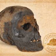 Herbersteinova sbírka, hlava mumie.