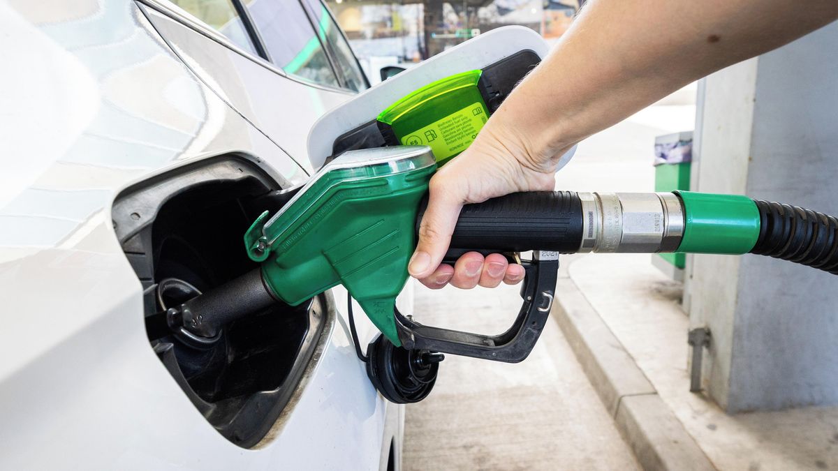 Regulace cen benzinu mine cíl. Část řidičů si připlatí, varuje ekonom