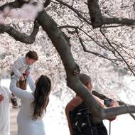 Rodinné chvíle v americkém hlavním městě. (25. března)
