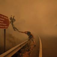 V kategorii Příběhy získal ocenění Brais Lorenzo, který pracuje pro agenturu EFE, server Revista 5W a deník El País. Porota ocenila jeho reportáž z požárů ve Španělsku. 

(Muž bojuje proti lesnímu požáru, Ourense, Galicie, Španělsko, 15. srpna 2025.)