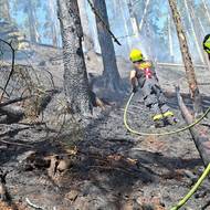 Nebezpečí představují především padající ohořelé stromy