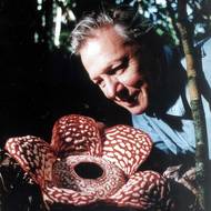 David Attenborough se o přírodu zajímal odjakživa. 