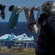 Sezona ledovců 2026 v Kanadě oficiálně začala. V dubnu a na začátku května za tzv. „ledovcovou uličkou“ v provincii Newfoundland a Labrador zaznamenali první velkolepé „příjezdy“ ledovců.
(Muž věší prádlo, zatímco kolem jeho domu v Burnt Pointu v kanadské provincii Newfoundland pluje ledovec, 5. května 2026.)
