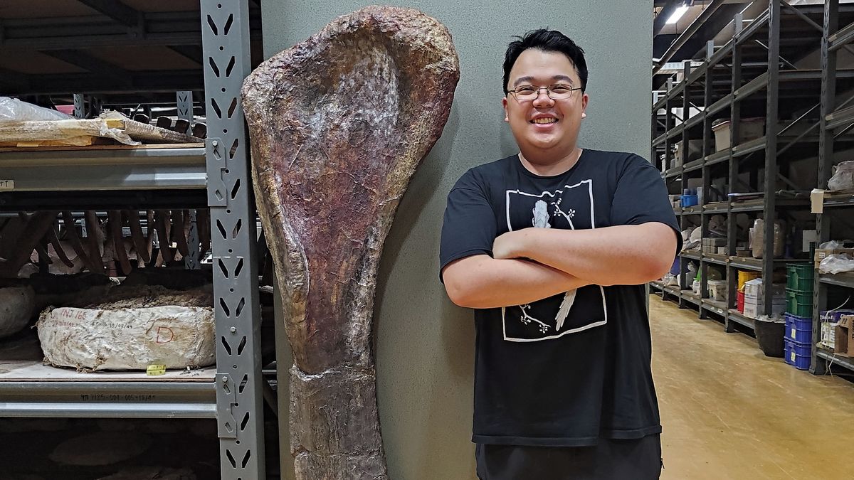 Massive 30-Ton Dinosaur Discovered in Thailand: Largest in Southeast Asia