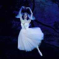 Snímek z nové inscenace Giselle.