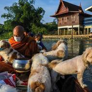 Opat během cesty na řece Chao Phraya v Pathum Thani v Thajsku, 4. května 2026.
