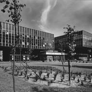 Pragerovy kostky v roce 1975.