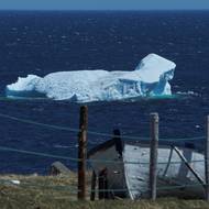 Arktida také zaznamenává rekordně nízkou ledovou pokrývku a rekordně vysoké teploty. V budoucnu tak podle vědců může ledovců u Newfoundlandu ubýt - roztají zkrátka dřív, než tam stačí doplout.
(Ledovec pluje zálivem Conception Bay u Burnt Pointu v kanadském Newfoundlandu, 5. května.)