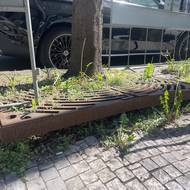Poškozené litinové mříže kolem stromů v ulici Radlická