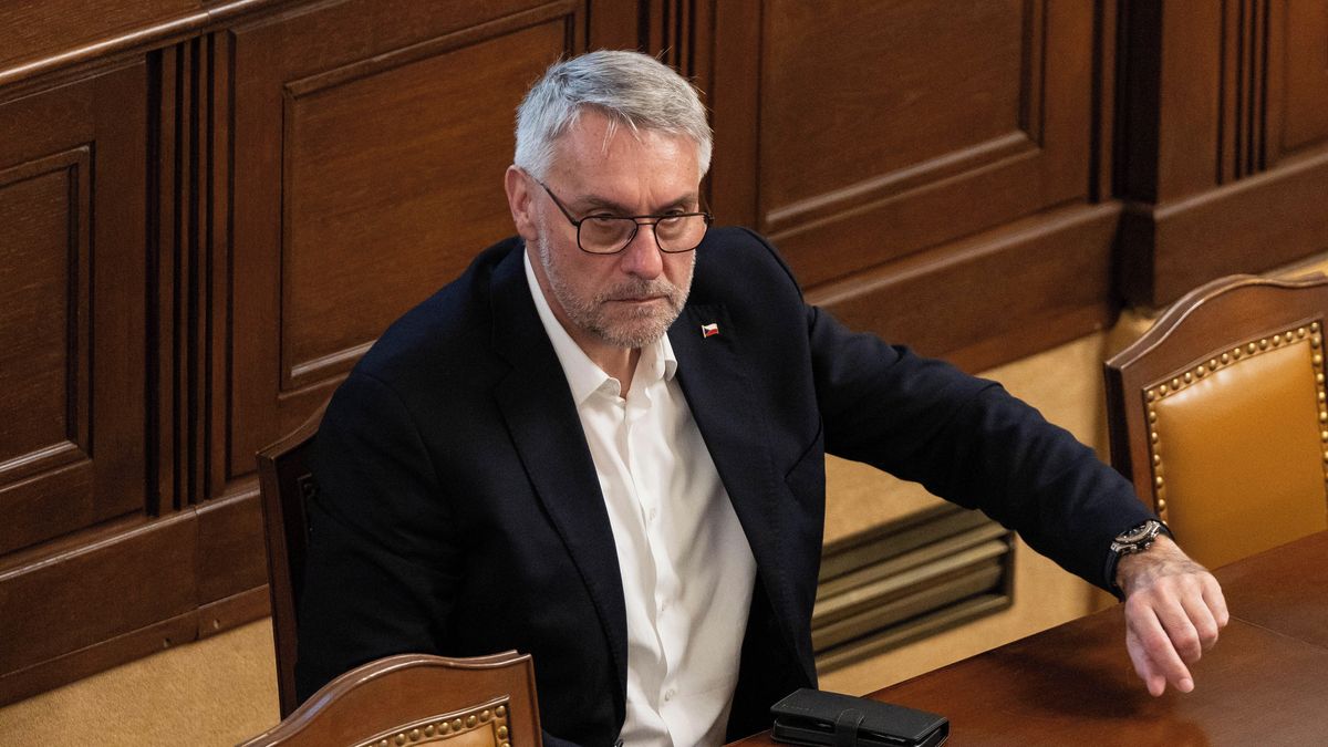 ANO chce postihovat vězením nelegální a zastřené zaměstnávání cizinců