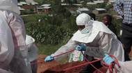 Ebola má v Africe tentokrát „našlápnuto“, kontinent je ve velkém nebezpečí