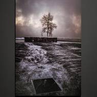Fotografie z výstavy The Second Fire – Milostný dopis Bajkalu.