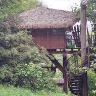 Druhý Tree House Amálka