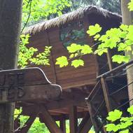 Tree House Emanuel