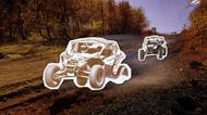 Motorové pily v ptačí rezervaci. Kácelo se kvůli autokrosu, zákaz přišel pozdě