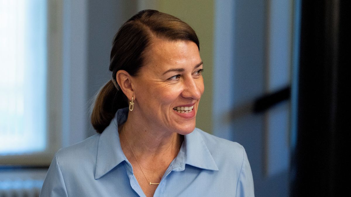Babiš a Bartha zas jednou řídí stát jako firmu. Ale není jejich