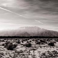 V pražské Leica Gallery začala výstava Juliana Lennona. Tato jeho fotografie se jmenuje Joshua Tree #4, pochází z roku 2017