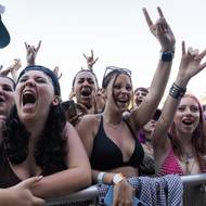 Bludfest je multižánrový festival, který Yungblud v roce 2024 inicioval jako alternativu k běžným masovým akcím.