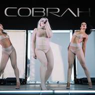 Večer na menším pódiu vystoupila provokativní performerka Cobrah.