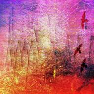 Fotografie Gabriely Bulišové a Marka Isaaca z projektu The Second Fire – Milostný dopis Bajkalu.