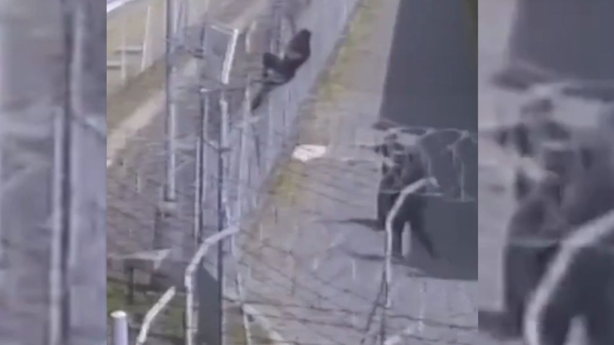 Pokus o útěk z Pankráce zachytily kamery. Kolik vě