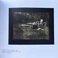 Josef Sudek, Vzpomínka na pana kouzelníka, z cyklu Procházka po kouzelné zahrádce, 1954-1959. Vyšlo v publikaci Rothmayerova vila (průvodce vilou), kterou v roce 2016 vydalo Muzeum hl. m. Prahy (nyní Muzeum Prahy). 