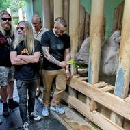 Předzvěstí Metalfestu bylo ve středu vystoupení švédské kapely Sabaton. Její členové předtím pojmenovali půlroční mládě nosorožce indického Apu v plzeňské zoologické zahradě.