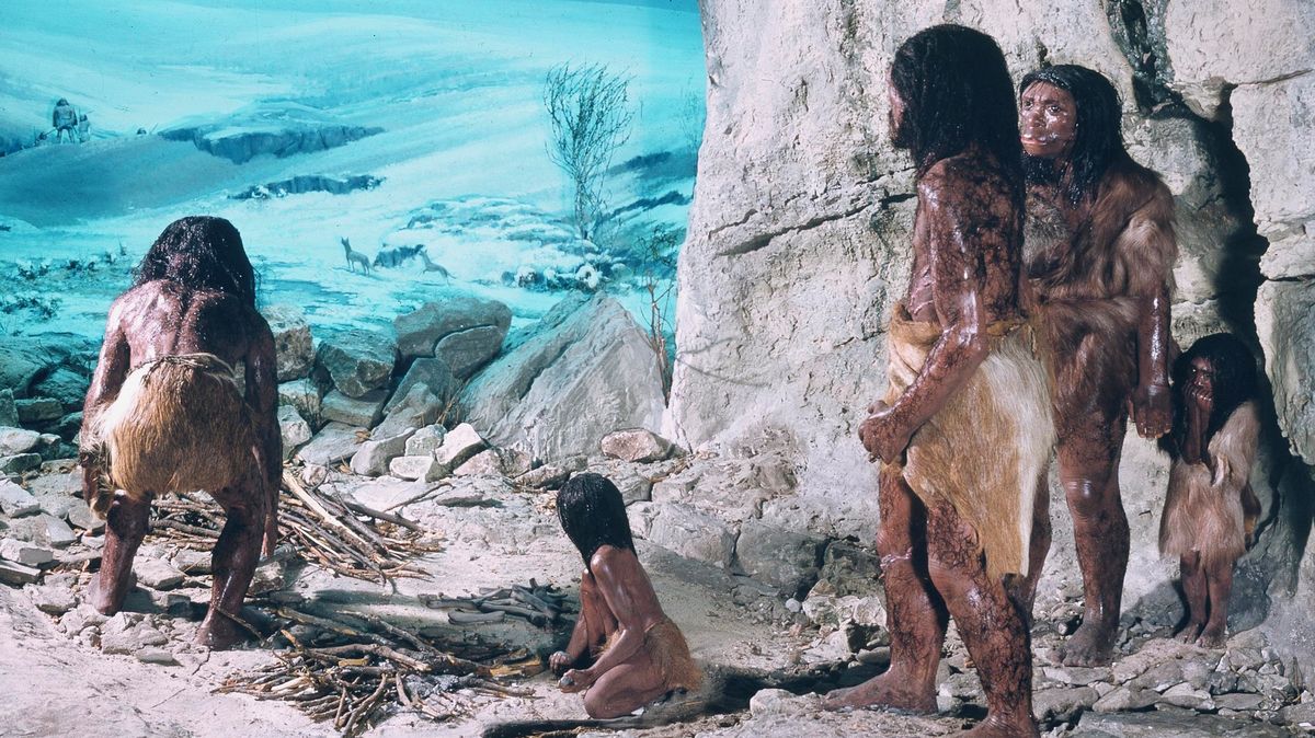 Neandertálci si vrtali bolavé zuby a milovali naše ženy. Ale v životě prohráli
