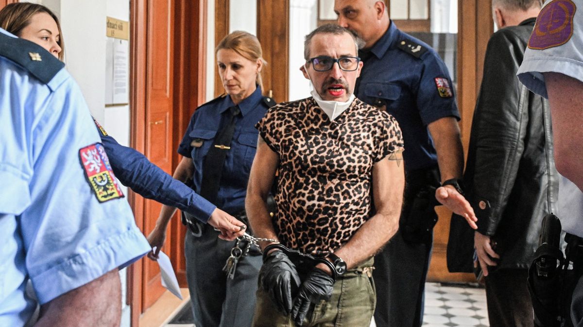 Policie dnes převezla zadrženou extremistku Liebichovou do Německa
