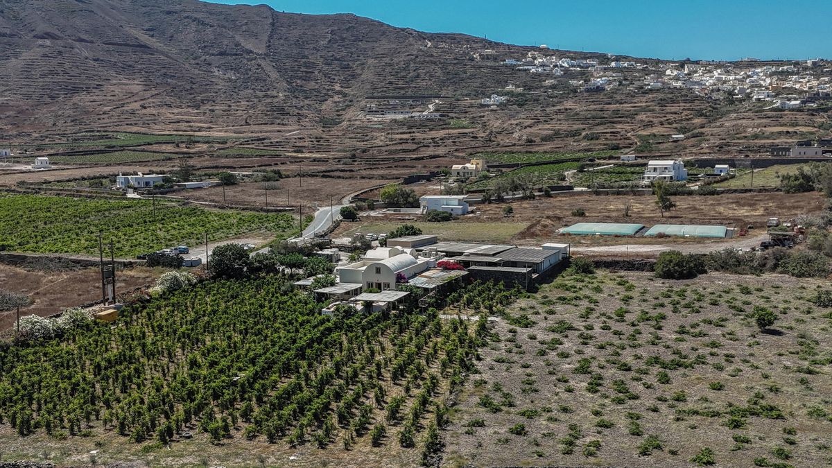 Fotky: Tradice v ohrožení. Vinaři ze Santorini bojují se suchem