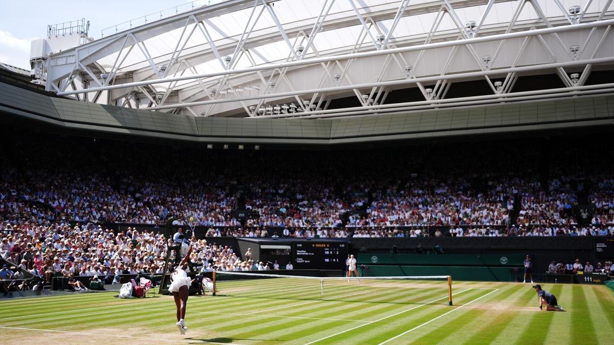 Kvitová všem ukázala cestu. Šéf českého tenisu o jedinečném Wimbledonu