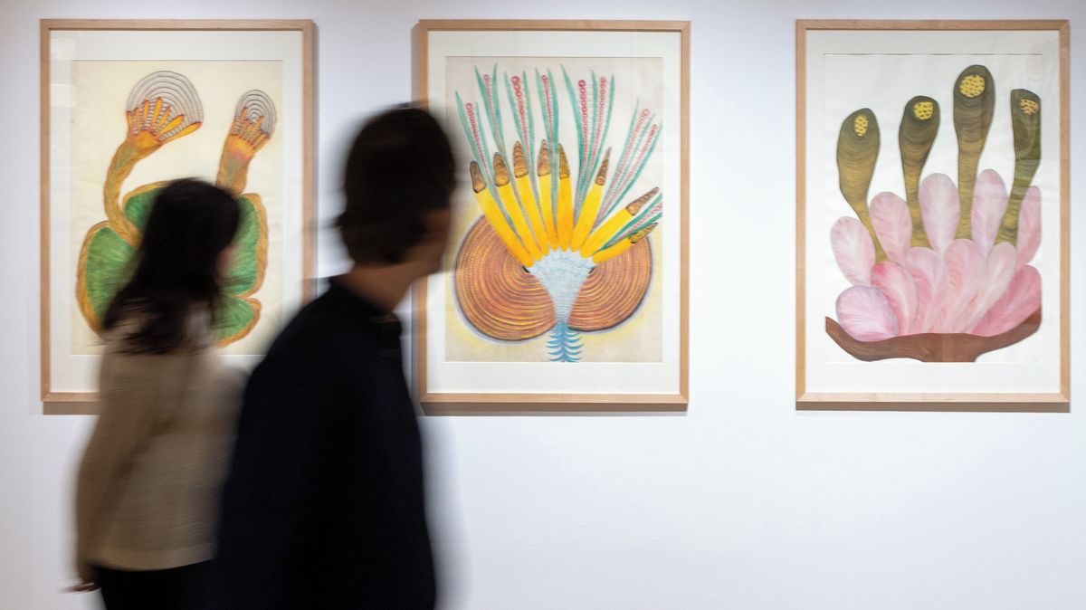 Zubařka začala po padesátce malovat. Dnes díla Zemánkové vystavují ve světě