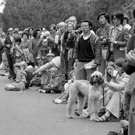 Den nezávislosti, 4. července 1976, Golden Gate Park ve městě San Francisco, Kalifornie.