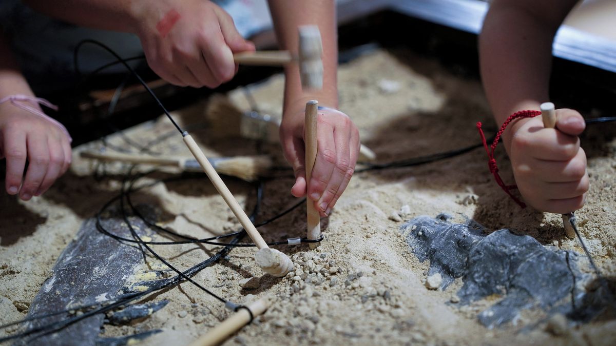 Krk dlouhý až 20 metrů. V Thajsku objevili nový druh dinosaura