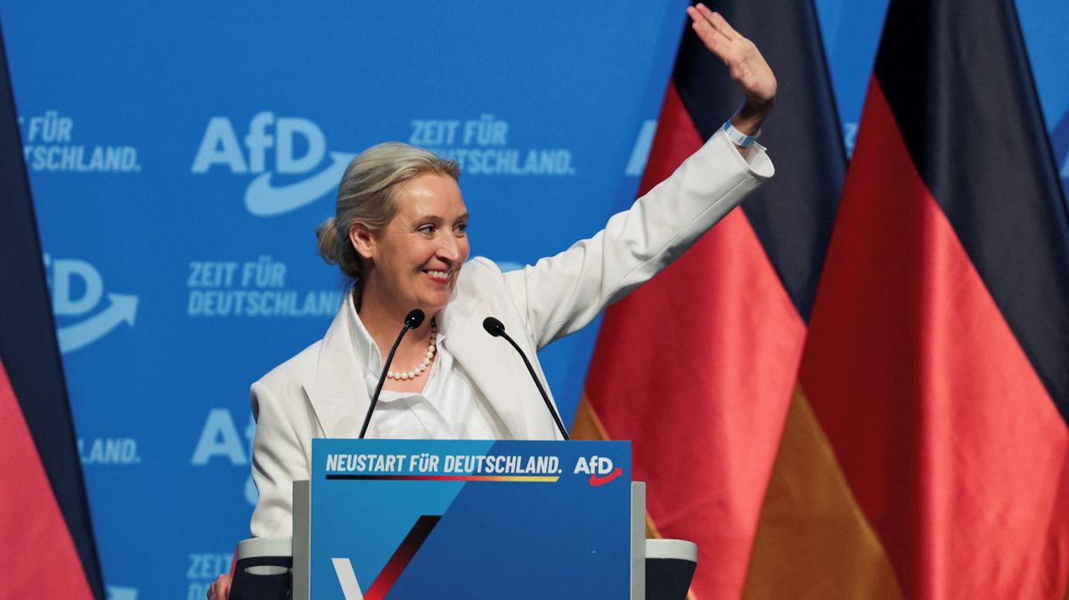 AfD si myslí na vládu . Ministr řeší, jak stranu odstřihnout od tajných zpráv