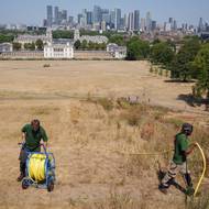 Zaměstnanci organizace Royal Parks v londýnském Greenwich Parku na snímku z 29. července zalévají mladé stromky. Jedná se o výjimku z pravidel platných v období sucha.