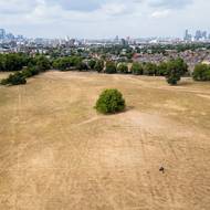 Ačkoli sucha jsou přirozeným jevem, vědci tvrdí, že změna klimatu zvyšuje riziko jejich výskytu i jejich intenzitu.
(Park Peckham Common, 23. července v Londýně.)