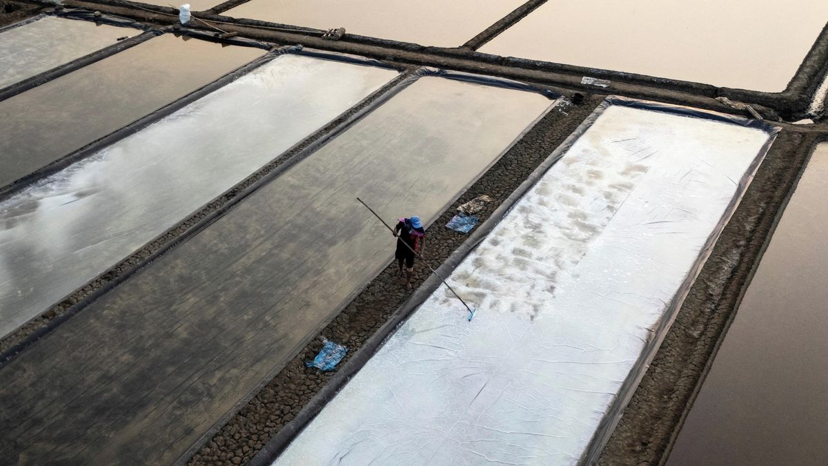 Fotky: Sucho jako požehnání. El Niño přináší rekordní „úrodu“ soli