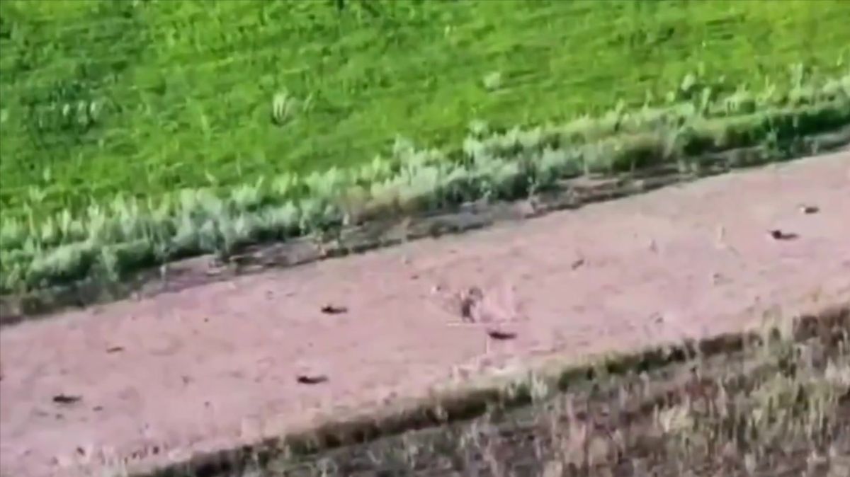 Až stovka dronů na silnici v Donbasu. Vypadají jako miny, ale fungují jinak