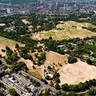 Regent's Park v Londýně, 31. července.