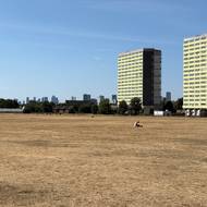 V posledních pěti letech Anglie zažila stav sucha třikrát – v letech 2022, 2025 a nyní v roce 2026.
(Wanstead Flats v Londýně, 1. srpna.)