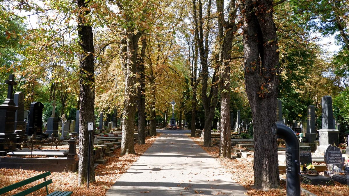 Podzim v srpnu. Krajina schne a vědec varuje před dalším problémem