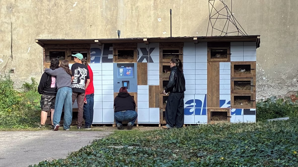 Alzabox jako králíkárna, z aut květináče. Brněnský umělec kritizuje konzum