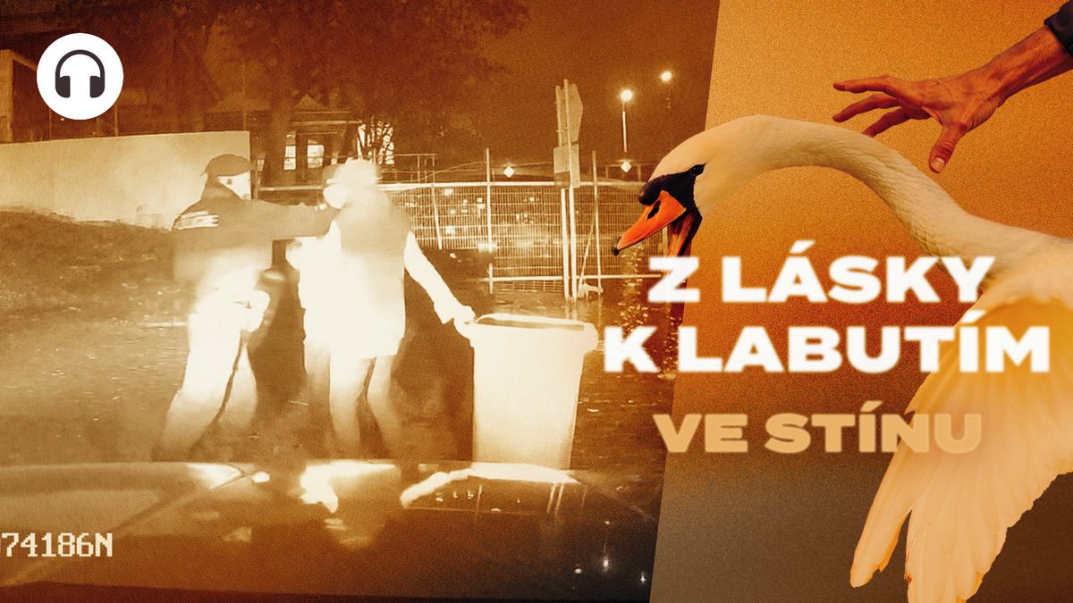 Rána, pád a pak pouta. Kamera ukázala zásah strážníka proti seniorce