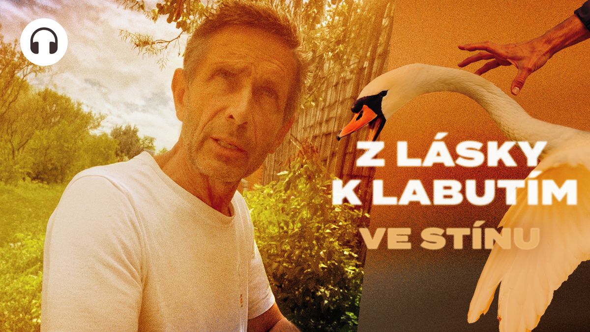 „Já to nebyl.“ Našli jsme muže, který odvážel labutě z Vltavy. Už je stíhaný