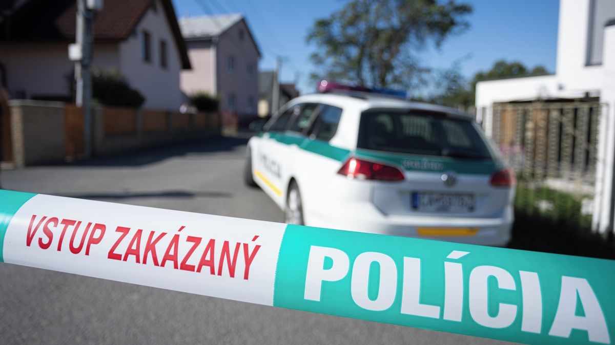 „Systém se musí změnit.“ Slovensko řeší, jak předcházet útokům ve školách