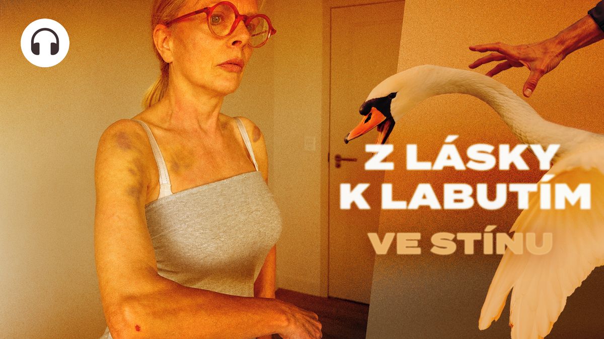 „Dostala jsem ránu pěstí.“ Žena krmila labutě u Vltavy a napadl ji strážník