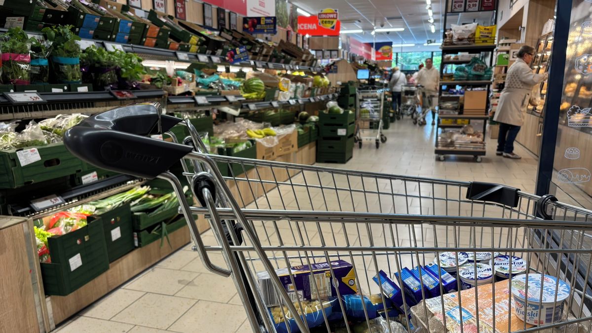 Český nákup je nejdražší, ukázal průzkum. Co se pořád vyplatí kupovat v cizině