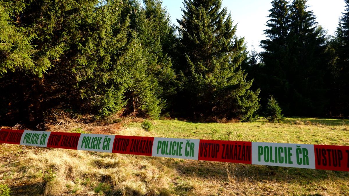 Hrozbu, o které mluví Červený, místní vážně neberou, říká reportér o Šumavě